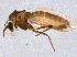  ( - BIOUG04549-D08)  @13 [ ] CreativeCommons - Attribution (2014) CBG Photography Group Centre for Biodiversity Genomics