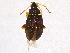  ( - BIOUG04554-B08)  @14 [ ] CreativeCommons - Attribution (2014) CBG Photography Group Centre for Biodiversity Genomics