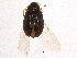  ( - BIOUG04554-B09)  @13 [ ] CreativeCommons - Attribution (2014) CBG Photography Group Centre for Biodiversity Genomics