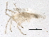  ( - BIOUG10070-E05)  @12 [ ] CreativeCommons - Attribution (2014) CBG Photography Group Centre for Biodiversity Genomics