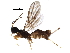  ( - BIOUG10699-A07)  @13 [ ] CreativeCommons - Attribution (2017) CBG Photography Group Centre for Biodiversity Genomics
