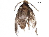  ( - BIOUG10704-H05)  @13 [ ] CreativeCommons - Attribution (2015) CBG Photography Group Centre for Biodiversity Genomics