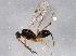  ( - BIOUG11108-C11)  @13 [ ] CreativeCommons - Attribution (2014) CBG Photography Group Centre for Biodiversity Genomics