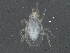  ( - BIOUG11112-E05)  @12 [ ] CreativeCommons - Attribution (2014) CBG Photography Group Centre for Biodiversity Genomics