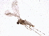  ( - BIOUG11175-H02)  @13 [ ] CreativeCommons - Attribution (2014) CBG Photography Group Centre for Biodiversity Genomics