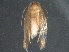  ( - BIOUG11648-G03)  @12 [ ] CreativeCommons - Attribution (2015) CBG Photography Group Centre for Biodiversity Genomics