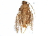  ( - BIOUG11805-G09)  @13 [ ] CreativeCommons - Attribution (2015) CBG Photography Group Centre for Biodiversity Genomics