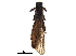  ( - BIOUG09689-B12)  @13 [ ] CreativeCommons - Attribution (2018) CBG Photography Group Centre for Biodiversity Genomics
