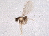  ( - BIOUG09977-H05)  @12 [ ] CreativeCommons - Attribution (2014) CBG Photography Group Centre for Biodiversity Genomics