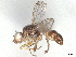  ( - BIOUG10548-H07)  @11 [ ] CreativeCommons - Attribution (2023) CBG Photography Group Centre for Biodiversity Genomics