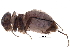  ( - BIOUG11022-B05)  @14 [ ] CreativeCommons - Attribution (2016) CBG Photography Group Centre for Biodiversity Genomics