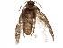  ( - BIOUG11176-B10)  @13 [ ] CreativeCommons - Attribution (2015) CBG Photography Group Centre for Biodiversity Genomics