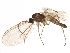  ( - BIOUG11180-H11)  @14 [ ] CreativeCommons - Attribution (2014) CBG Photography Group Centre for Biodiversity Genomics
