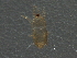  ( - BIOUG11958-F10)  @13 [ ] CreativeCommons - Attribution (2014) CBG Photography Group Centre for Biodiversity Genomics