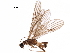  ( - BIOUG12434-D05)  @11 [ ] CreativeCommons - Attribution (2018) CBG Photography Group Centre for Biodiversity Genomics