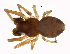  ( - BIOUG09833-E12)  @11 [ ] CreativeCommons - Attribution Share-Alike (2023) Unspecified Centre for Biodiversity Genomics