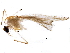  ( - BIOUG10066-D07)  @14 [ ] CreativeCommons - Attribution (2016) CBG Photography Group Centre for Biodiversity Genomics