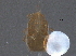  ( - BIOUG10526-F10)  @12 [ ] CreativeCommons - Attribution (2014) CBG Photography Group Centre for Biodiversity Genomics