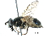  ( - BIOUG10921-G07)  @14 [ ] CreativeCommons - Attribution (2016) CBG Photography Group Centre for Biodiversity Genomics