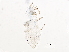  ( - BIOUG20151-E06)  @12 [ ] CreativeCommons - Attribution (2015) CBG Photography Group Centre for Biodiversity Genomics