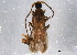  ( - BIOUG03100-A09)  @13 [ ] CreativeCommons - Attribution (2014) CBG Photography Group Centre for Biodiversity Genomics