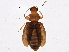  ( - BIOUG03100-H09)  @14 [ ] CreativeCommons - Attribution (2013) CBG Photography Group Centre for Biodiversity Genomics