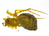  ( - BIOUG03420-D08)  @14 [ ] CreativeCommons - Attribution (2012) CBG Photography Group Centre for Biodiversity Genomics