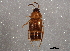  ( - BIOUG03223-G03)  @13 [ ] CreativeCommons - Attribution (2013) CBG Photography Group Centre for Biodiversity Genomics