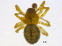  ( - BIOUG03420-G03)  @12 [ ] CreativeCommons - Attribution (2012) CBG Photography Group Centre for Biodiversity Genomics