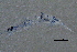  ( - BIOUG07012-A03)  @12 [ ] CreativeCommons - Attribution (2014) CBG Photography Group Centre for Biodiversity Genomics