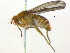  ( - BIOUG04669-A09)  @13 [ ] CreativeCommons - Attribution (2012) CBG Photography Group Centre for Biodiversity Genomics