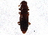 ( - BIOUG05822-B01)  @13 [ ] CreativeCommons - Attribution (2014) CBG Photography Group Centre for Biodiversity Genomics