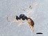  ( - BIOUG09919-E06)  @13 [ ] CreativeCommons - Attribution (2014) CBG Photography Group Centre for Biodiversity Genomics