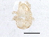  ( - BIOUG10037-A07)  @12 [ ] CreativeCommons - Attribution (2014) CBG Photography Group Centre for Biodiversity Genomics