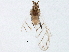  ( - BIOUG02749-H05)  @12 [ ] CreativeCommons - Attribution (2013) CBG Photography Group Centre for Biodiversity Genomics