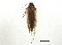 ( - BIOUG03128-E06)  @13 [ ] CreativeCommons - Attribution (2013) CBG Photography Group Centre for Biodiversity Genomics