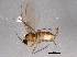  ( - BIOUG03137-F02)  @13 [ ] CreativeCommons - Attribution (2014) CBG Photography Group Centre for Biodiversity Genomics