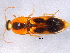  ( - BIOUG02756-G10)  @13 [ ] CreativeCommons - Attribution (2012) CBG Photography Group Centre for Biodiversity Genomics