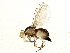  ( - BIOUG03410-A05)  @13 [ ] CreativeCommons - Attribution (2013) CBG Photography Group Centre for Biodiversity Genomics