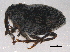  ( - BIOUG03138-C01)  @14 [ ] CreativeCommons - Attribution (2014) CBG Photography Group Centre for Biodiversity Genomics