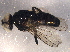  ( - BIOUG06601-C01)  @12 [ ] CreativeCommons - Attribution (2014) CBG Photography Group Centre for Biodiversity Genomics