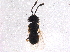  ( - BIOUG06573-A04)  @13 [ ] CreativeCommons - Attribution (2014) CBG Photography Group Centre for Biodiversity Genomics