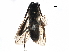  ( - BIOUG20900-B06)  @12 [ ] CreativeCommons - Attribution (2016) CBG Photography Group Centre for Biodiversity Genomics