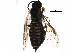  ( - BIOUG21118-F10)  @12 [ ] CreativeCommons - Attribution (2016) CBG Photography Group Centre for Biodiversity Genomics