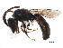  ( - BIOUG21691-C10)  @12 [ ] CreativeCommons - Attribution (2018) CBG Photography Group Centre for Biodiversity Genomics