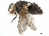  ( - BIOUG20907-G08)  @11 [ ] CreativeCommons - Attribution (2018) CBG Photography Group Centre for Biodiversity Genomics