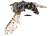  ( - BIOUG17754-B08)  @13 [ ] CreativeCommons - Attribution (2015) CBG Photography Group Centre for Biodiversity Genomics