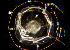  ( - BIOUG01227-A02)  @11 [ ] CreativeCommons - Attribution Non-Commercial Share-Alike (2015) Peter Bryant University of California