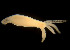  ( - BIOUG01227-B03)  @12 [ ] CreativeCommons - Attribution Non-Commercial Share-Alike (2015) Peter Bryant University of California