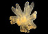  ( - BIOUG01227-D01)  @11 [ ] CreativeCommons - Attribution Non-Commercial Share-Alike (2015) Peter Bryant University of California